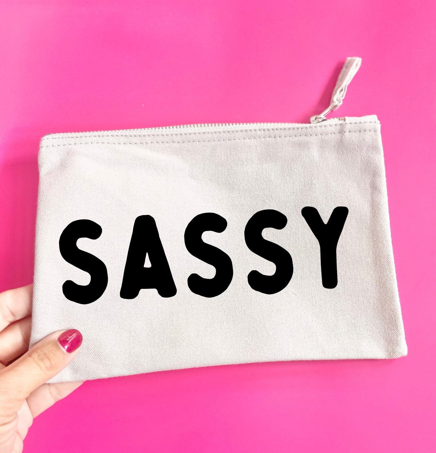 Sassy pouch, Christmas present idea for teenage daughter , granddaughter. Fun make up bags, brush case, lipstick pouch